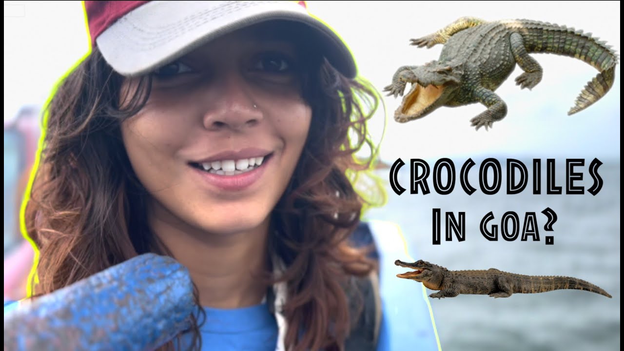 Looking for CROCODILES in GOA | MikeyTv