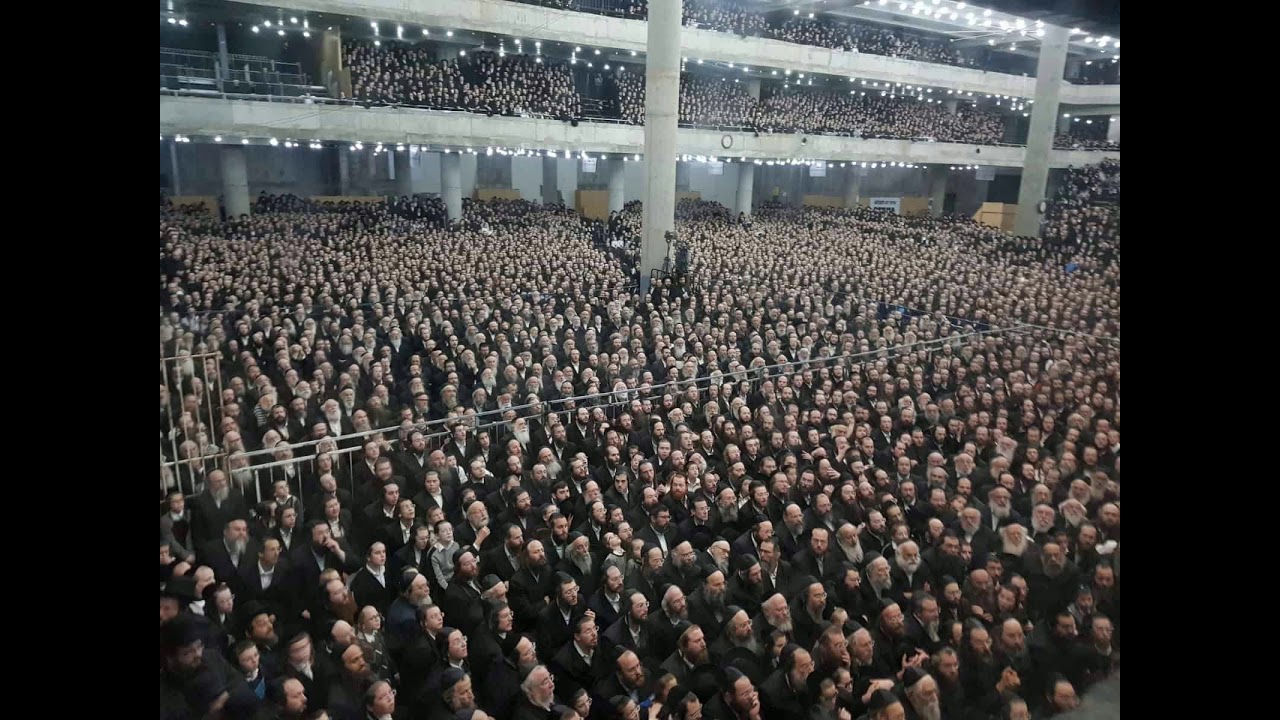 יאַדוֹם חֲסִידִים דוֹ גוּרִי