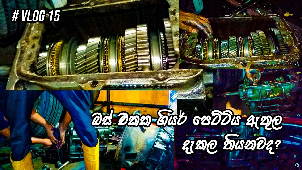 Let's see inside a gearbox | ගියර් බොක්ස් එකක ඇතුල බලමුද? #sudumahathya #vlog 15