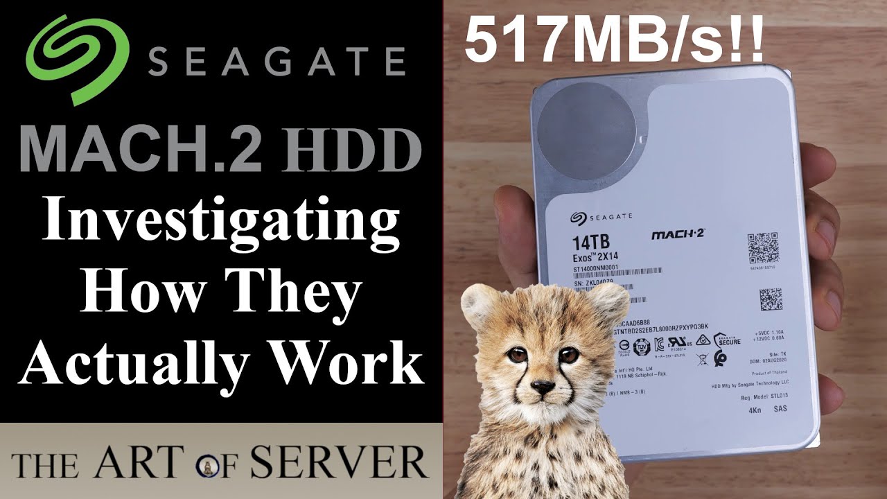 Seagate Mach.2 Dual Actuator HDDs | Investigating How They Actually Work