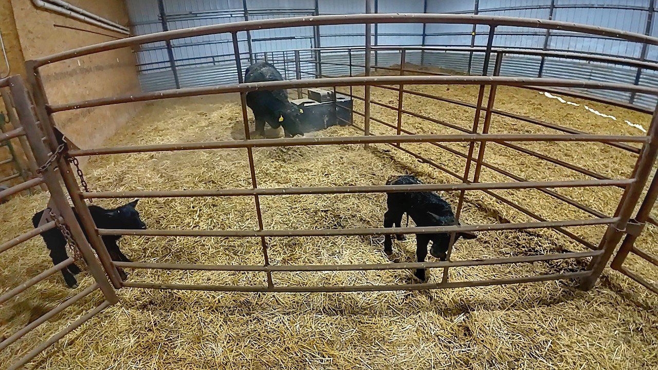 Starting the season with Twins