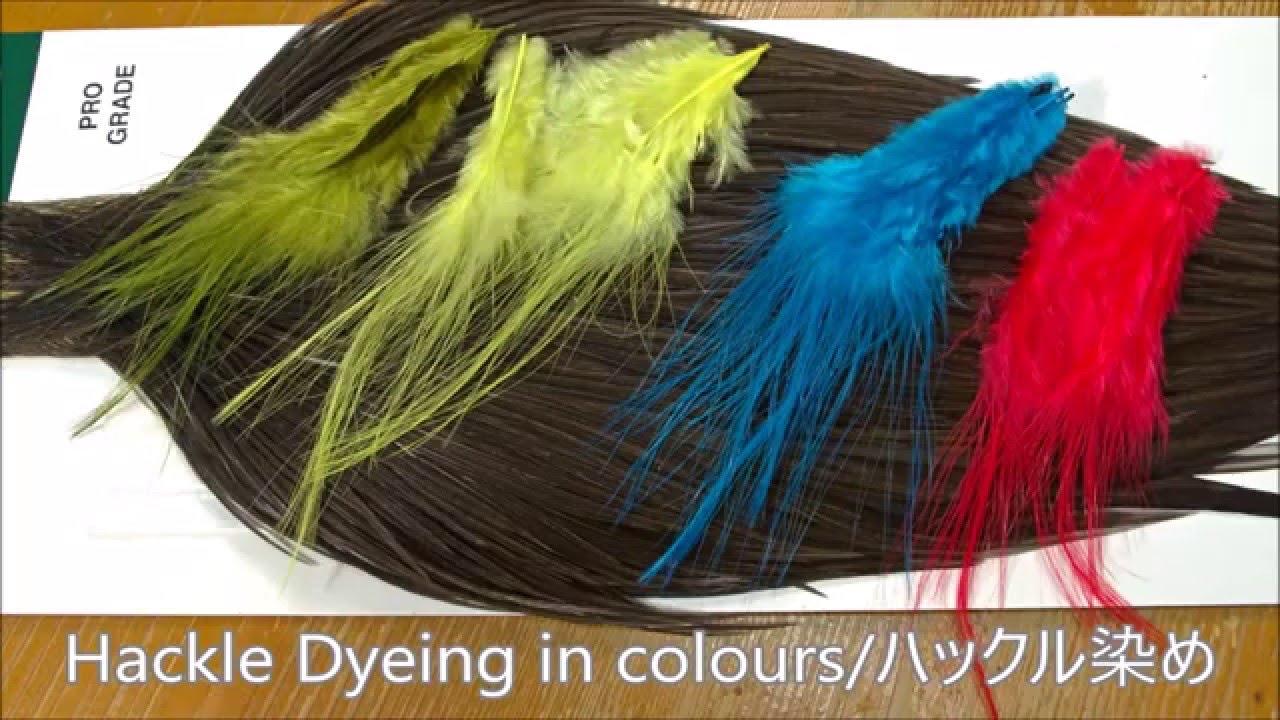 Material Dyeing/マティリアルを染める