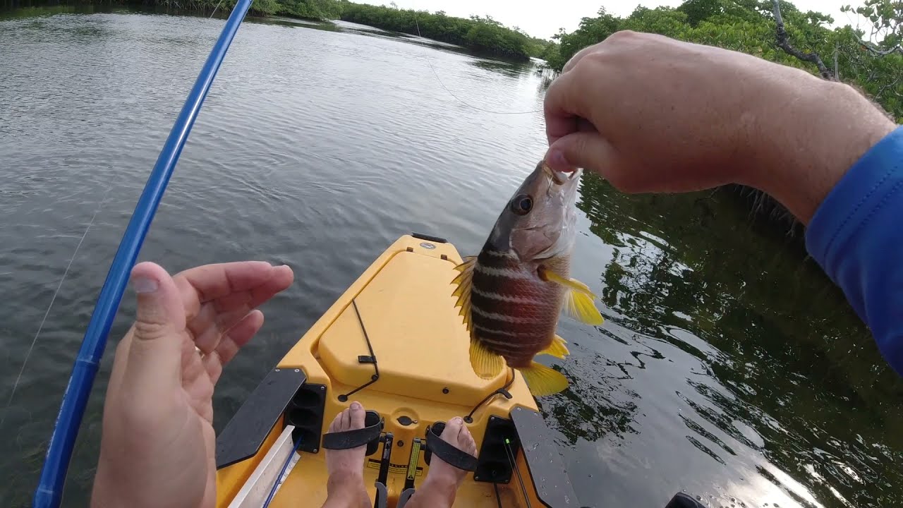 Pennekamp State Park Kayak Launch Review and Kayak Fishing