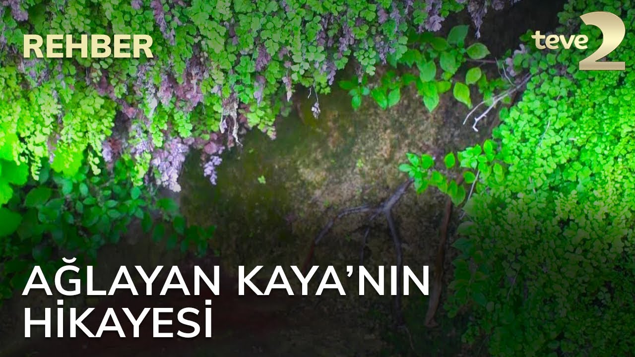 Rehber: Ağlayan Kaya’nın Hikayesi