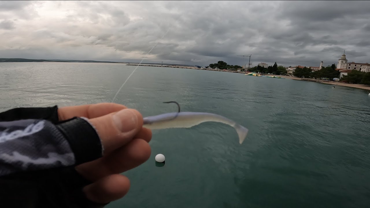 Fishing with DUO Versa Shad 3
