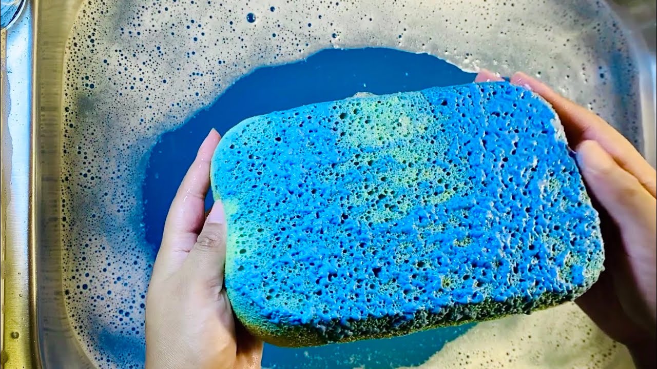 🫧🌲 Juicy Sudsy Rinse With 5 Sponges 🫧