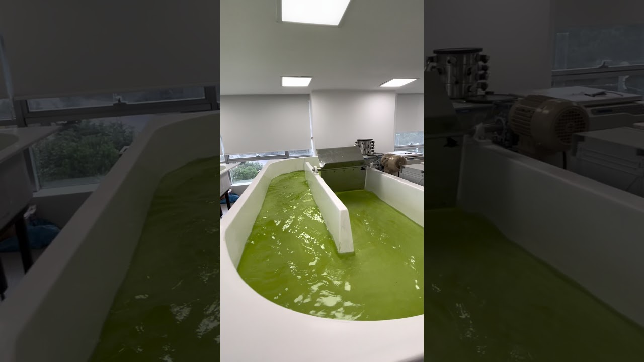 ALGBIO Algae fuel production reactors