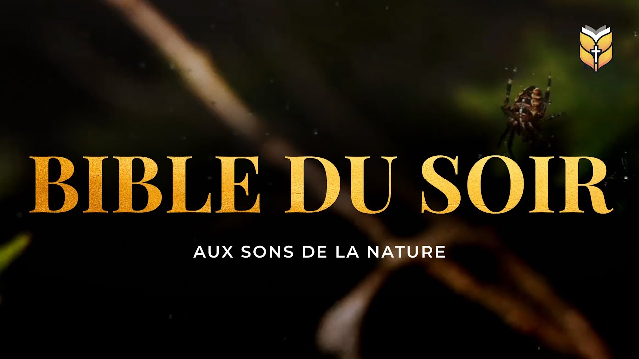 Bible du soir aux sons de la nature #biblevision