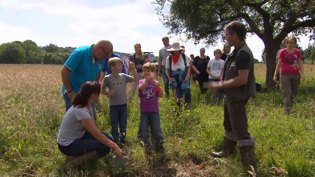 Kanjers van Goud ARK Natuurontwikkeling