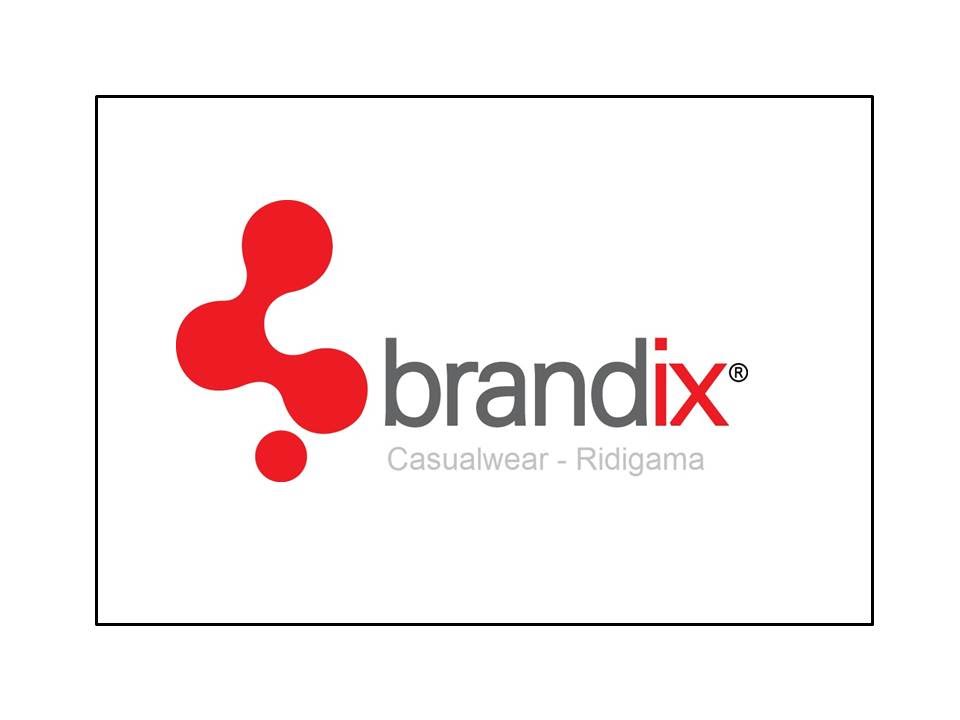 Exploring the Journey of Brandix Apparel Solutions Ltd in Ridigama (2015)