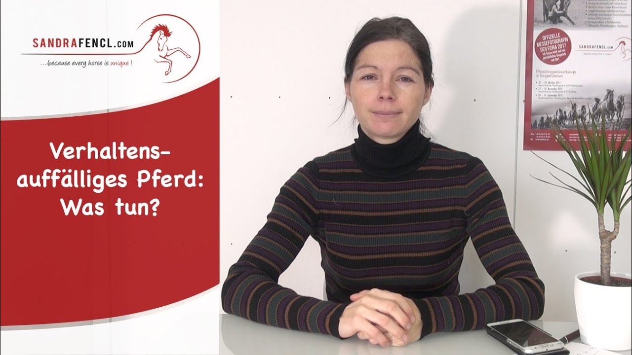 Verhaltensauffälliges Pferd: Was tun?