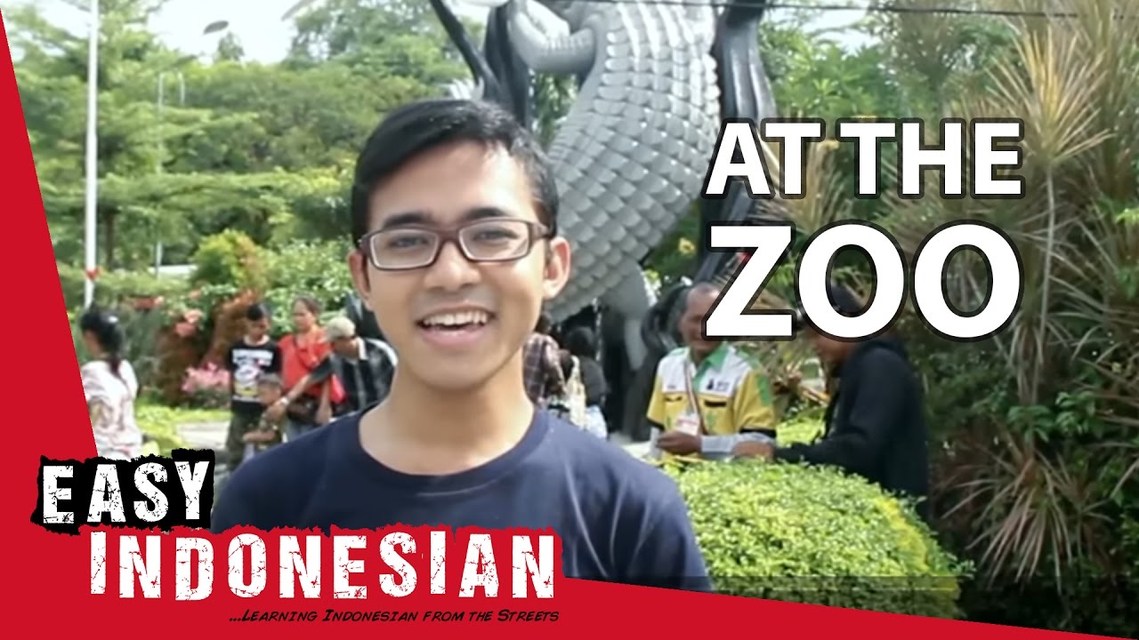 Easy Indonesian 3 - At the zoo