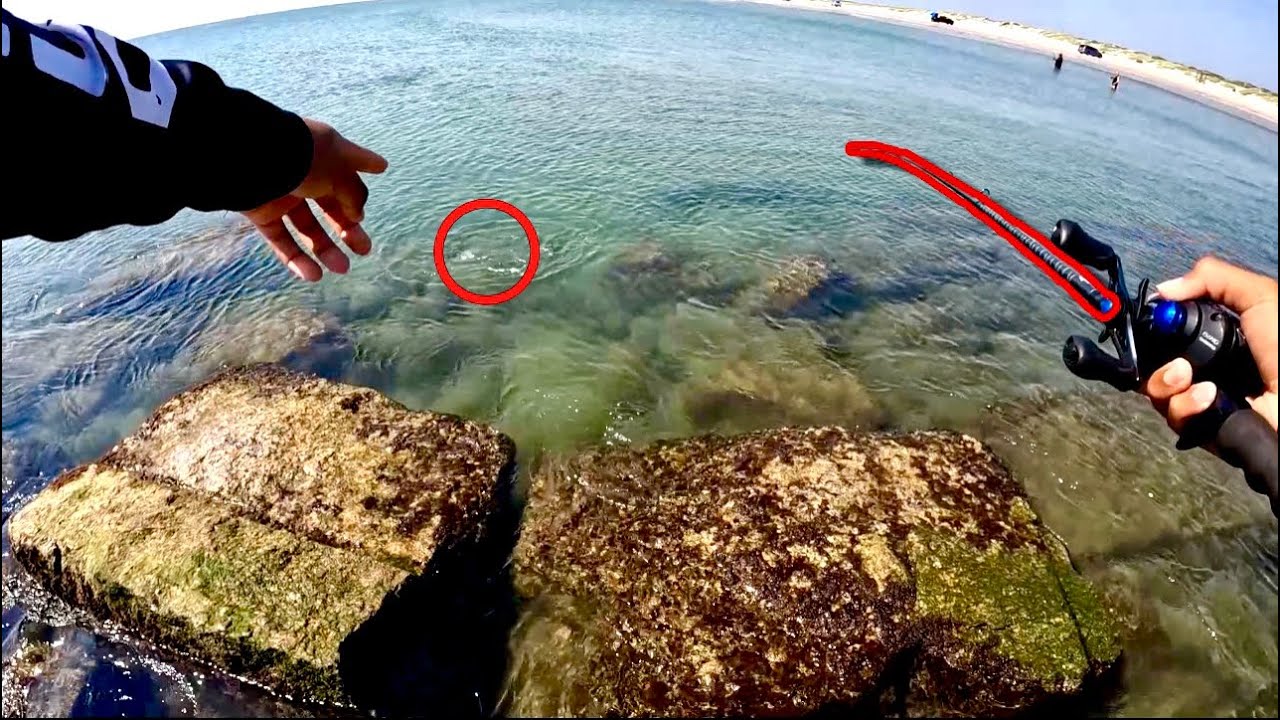 We Caught a RARE Texas Species! **Unbelievable** (Corpus Christi)