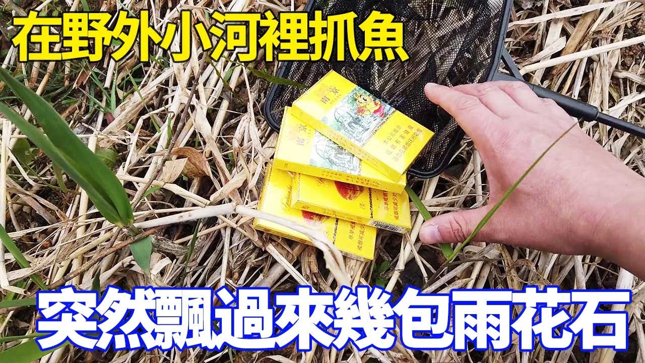 在野外小河裡抓魚，突然飄過來好幾包雨花石，這到底會是誰丟的呢！ 【野王大坤戶外】