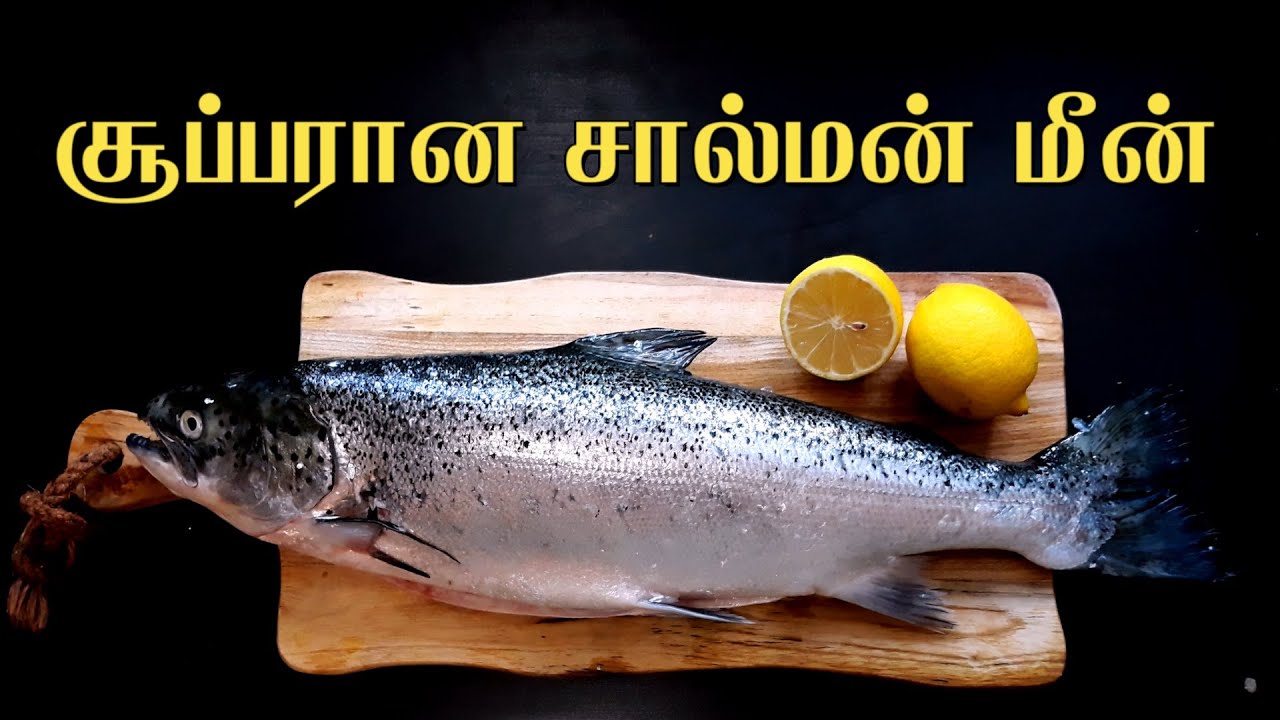சூப்பரான சால்மன் மீன் / Salmon fish fry in Tamil / France