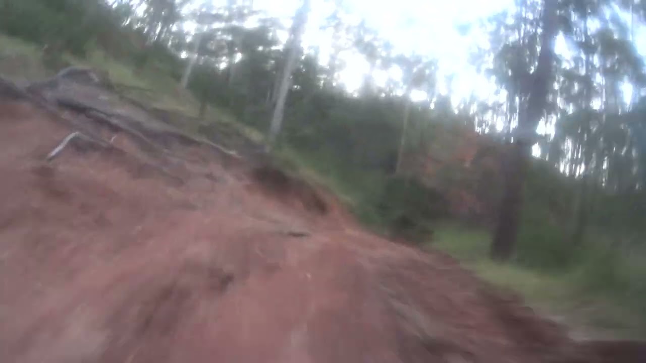 TMCC Murphys Creek Blue short (Hot Lap)