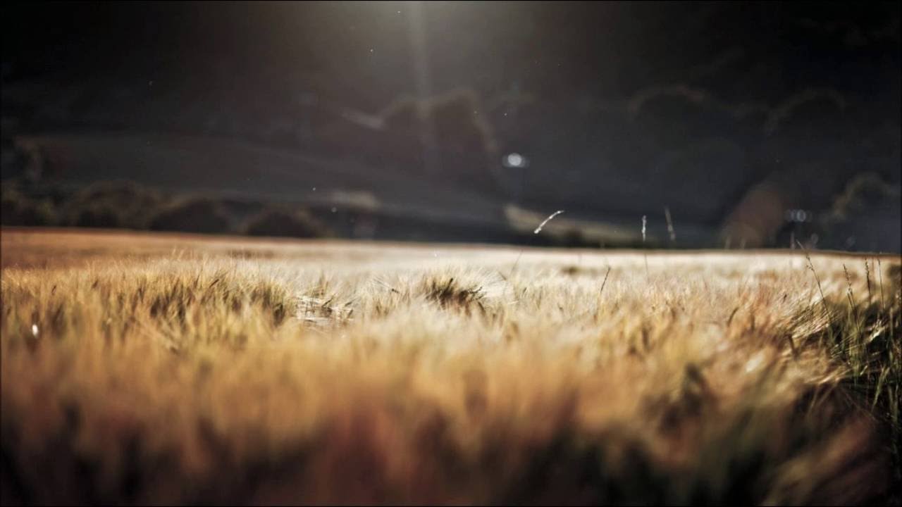Maiga - Harvest (Original mix) MCP006