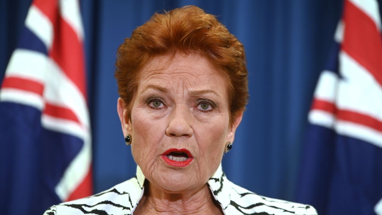 Pauline Hanson declares One Nation the ‘true opposition’ after Liberal leadership shake-up