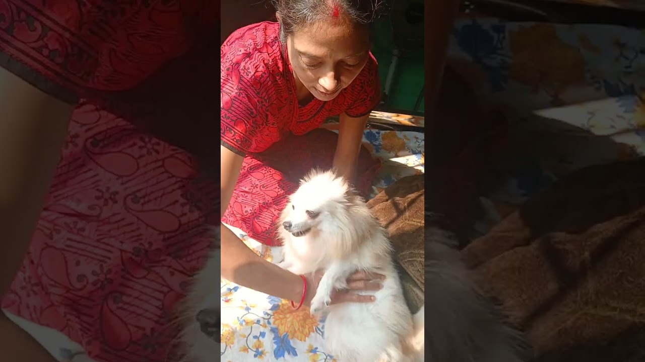 চেহারা ছোট্ট বলে কি আমার রাগ নেই ভেবেছো??