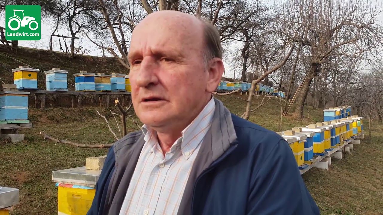 Punët që duhet bërë në bletishte gjatë muajit Mars