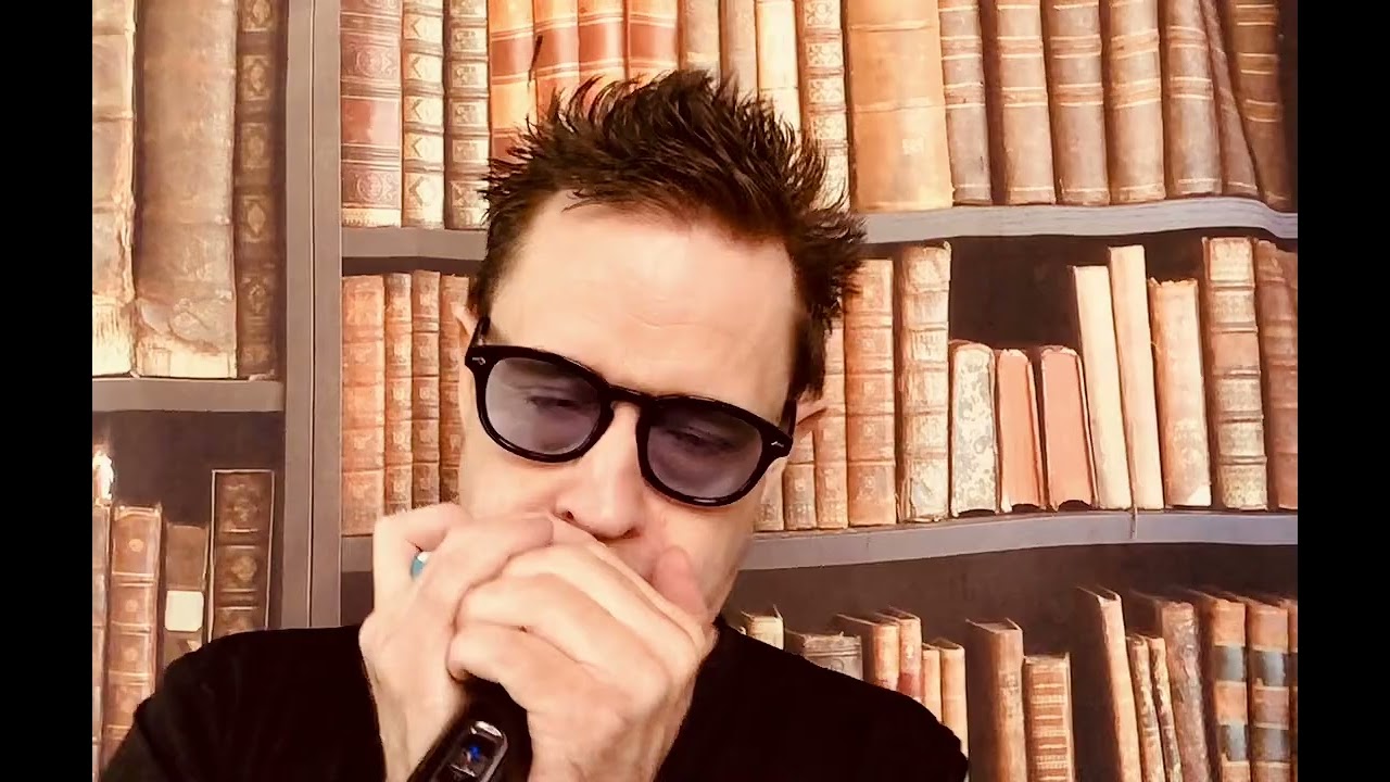 Tennessee Waltz on a Polar Super Country Tuned Harmonica by Harmo Harmonicas
