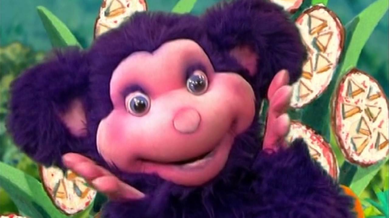 The Hooley Dooleys - Oopsadazee (2002)