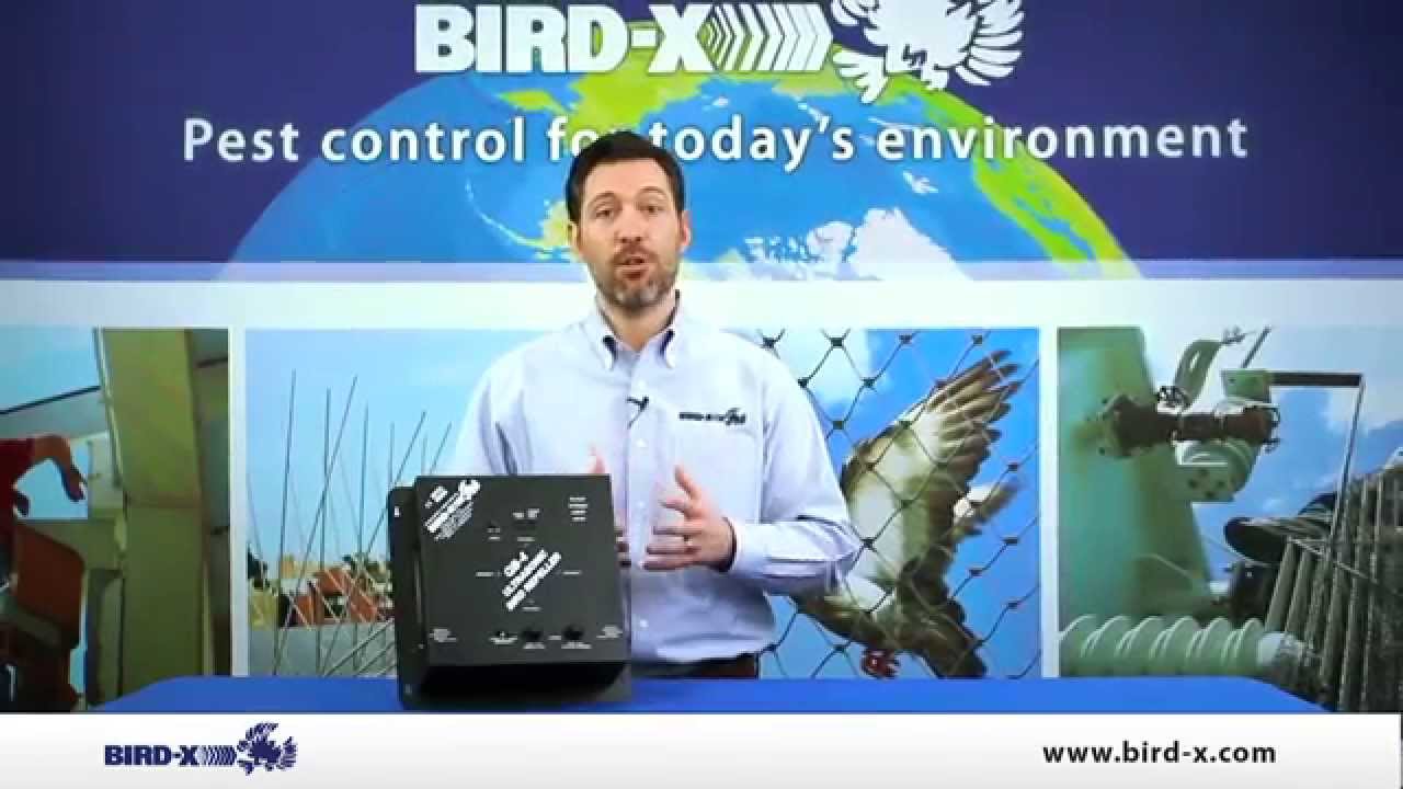 Bird X QuadBlaster QB-4 Product Video