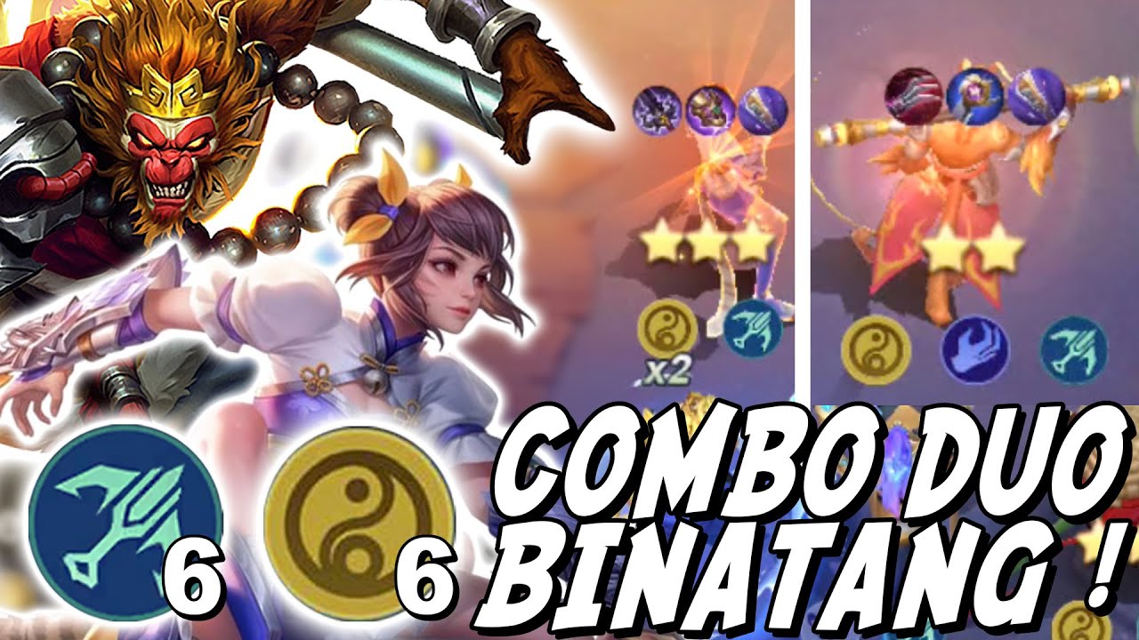 BEGINILAH KALO KUCING DAN MONYET DIGABUNGKAN ! KEKUATAN WANWAN X SUN MM ! COMBO DUO BINATANG !