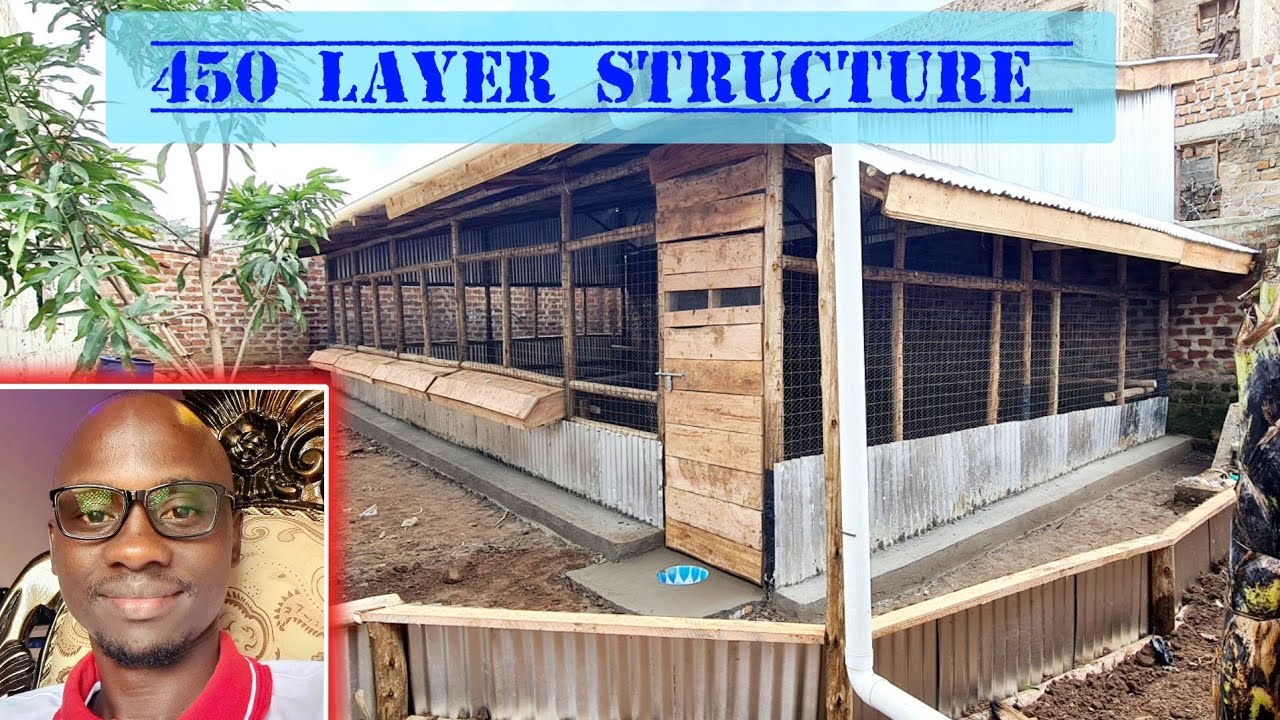 Step by step 450 layer structure/coop construction, from strat to end using cheap african way.