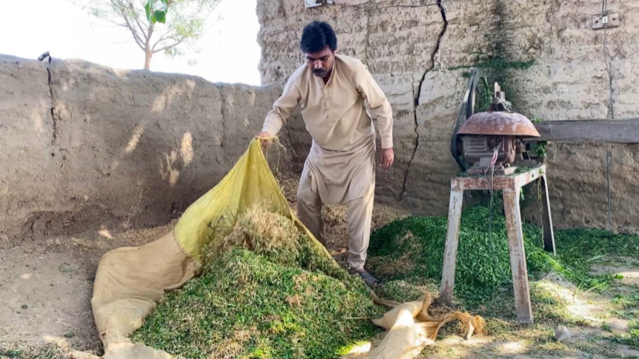 Ramzan Routine Vlog | Khalid Numberdaar Routine Today | @Punjabibest4ever 