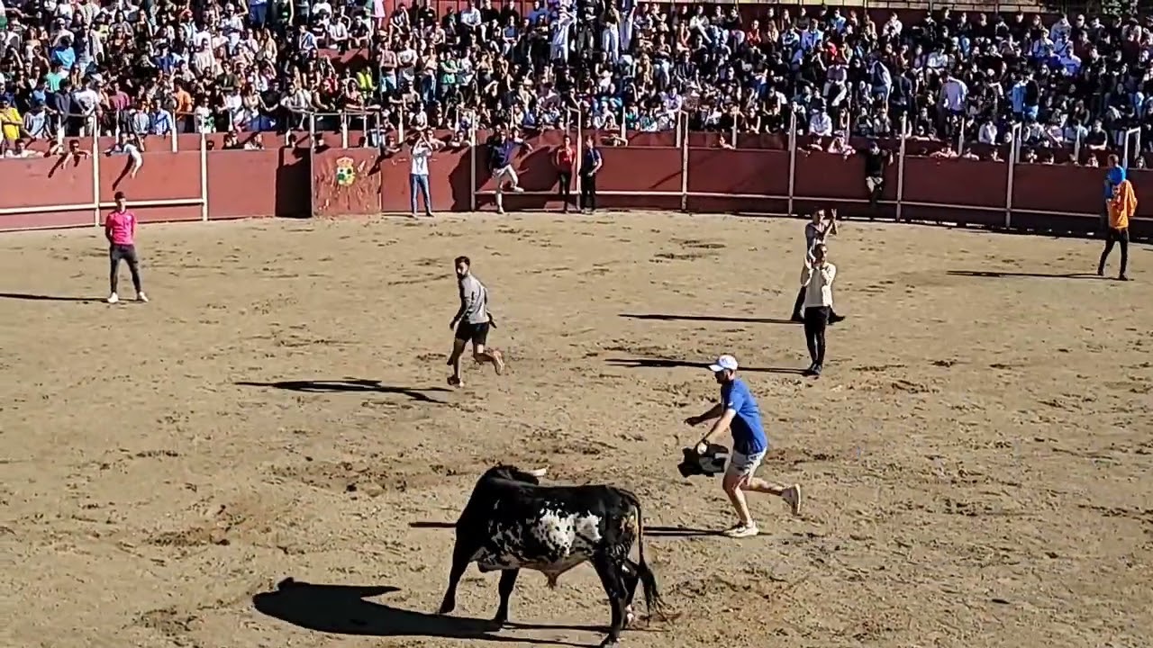 Encierro de Hoyo de Manzanares 2024 (8 de Septiembre)