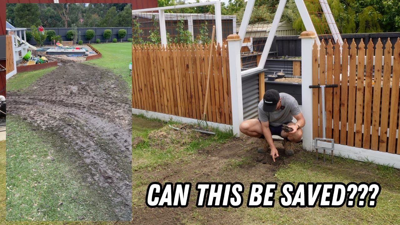 Repairing machinery damage to my lawn + 4 week recovery update