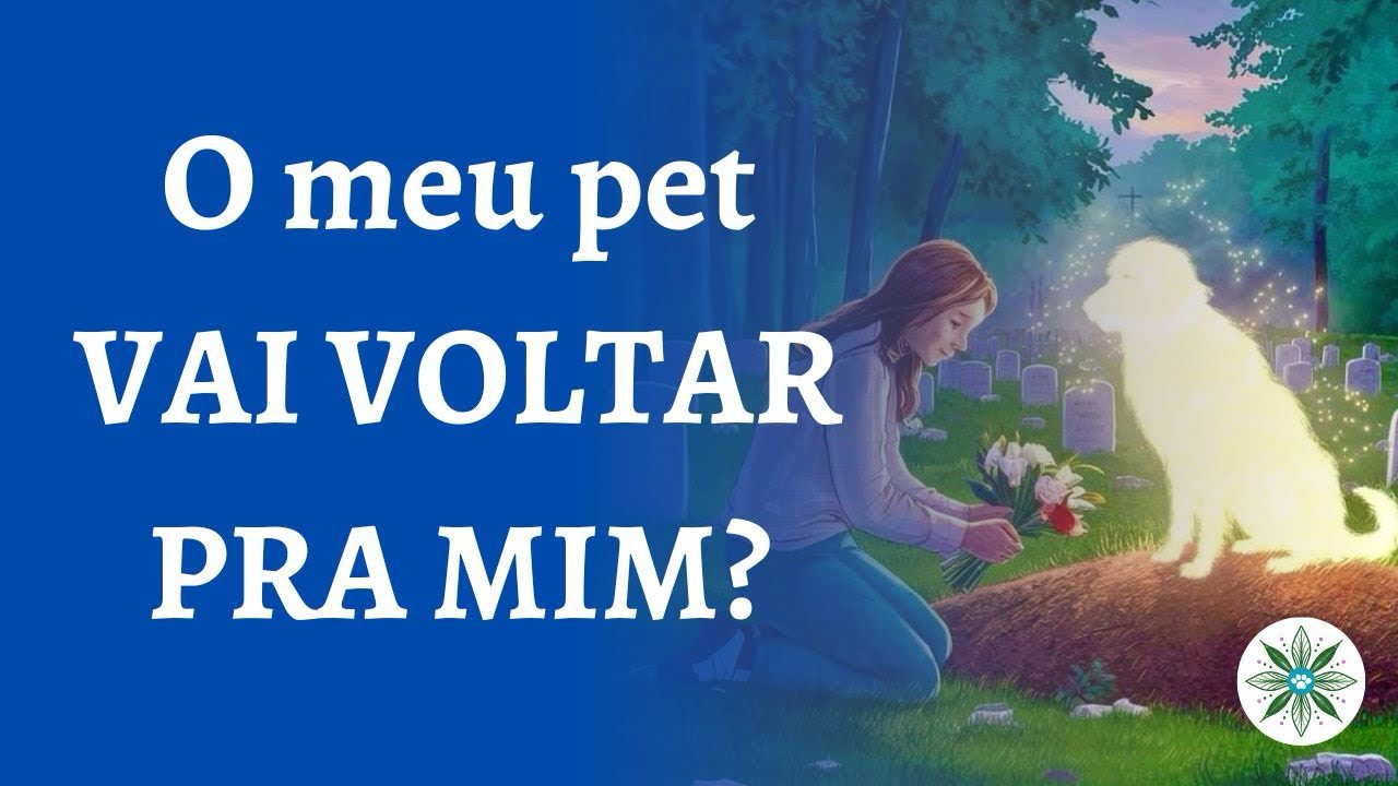 REENCARNAÇÃO DOS CÃES E GATOS
