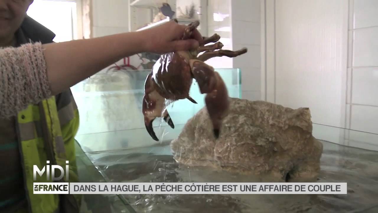 FEUILLETON : Dans la Hague, la pêche côtière est une affaire de couple
