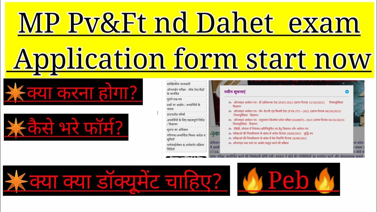 MP Pv&Ft exam के application form केसे भरे? Peb profile/all document #vettyguide