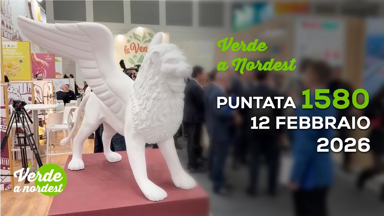 VERDE A NORDEST PUNTATA N.1580