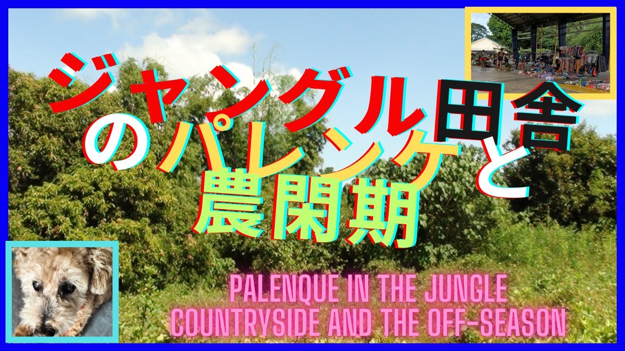 ジャングル田舎のパレンケと農閑期　Palenque in the jungle countryside and the off season