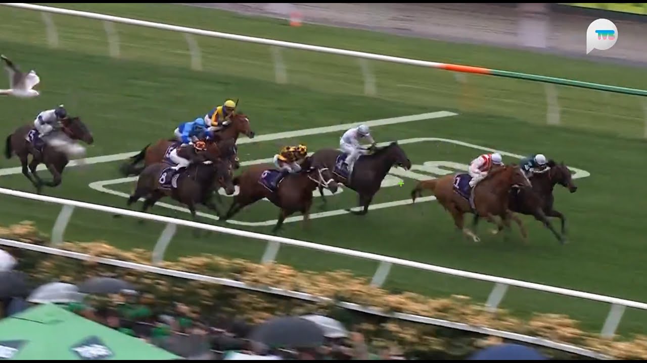 澳洲冠軍短途錦標 Champions Sprint 一級賽 G1 1200m 2025-11-08 勁力猛擊 Giga Kick 費明頓馬場 Flemington Racecourse