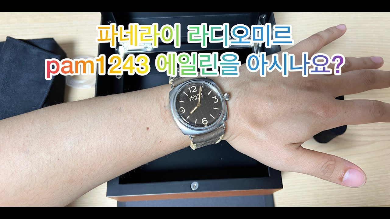 파네라이 라디오미르 에일린 pam1243 을 아시나요..? (panerai radiomir pam1243)