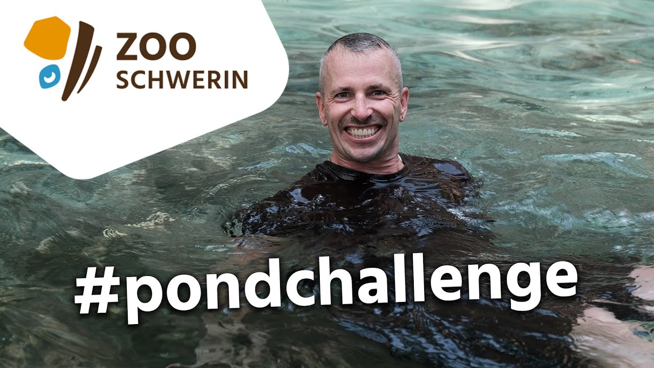#pondchallenge Zoo Schwerin