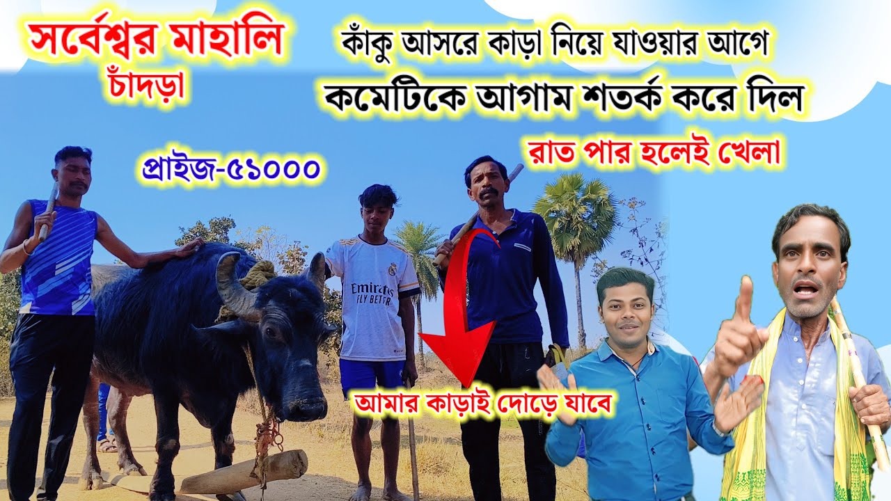 সর্বেশ্বর মাহালি কাঁকু আসরে কাড়া নিয়ে যাওয়ার আগে কমেটিকে আগাম শতর্ক করে দিল,রাত পার হলেই খেলা