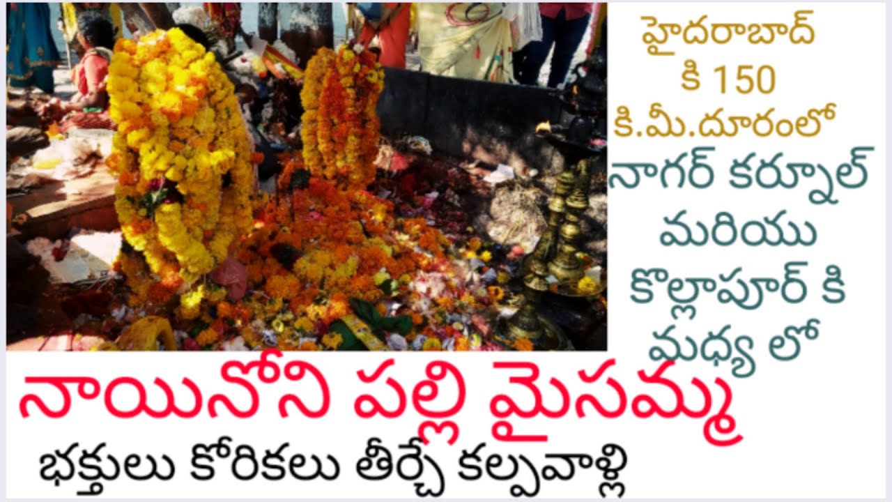 Nainonipally Maisamma।నాయినోనిపల్లి మైసమ్మ।Navyug369