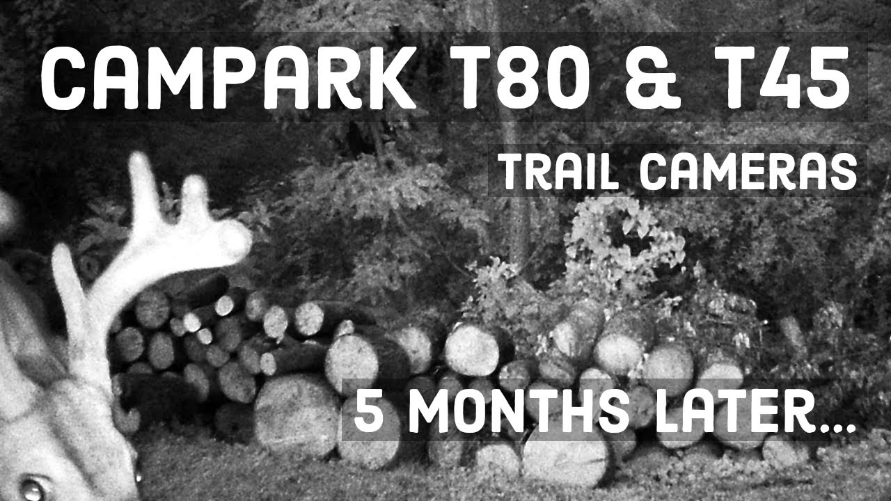 Campark T80 & T45 Trail Cameras - Update | Comparison | After 5 Months | Which Should You Buy?