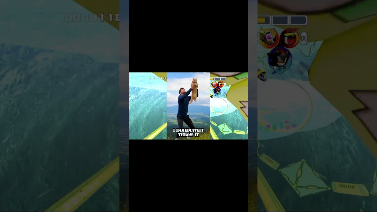 Screw the Special Stages in Sonic Heroes 😤🎯 