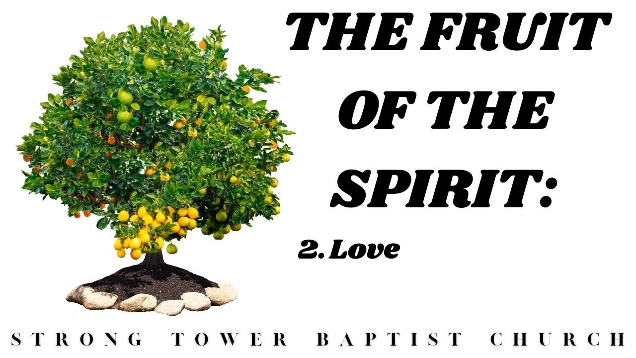 The Fruit Of The Spirit: 2. Love | STBC