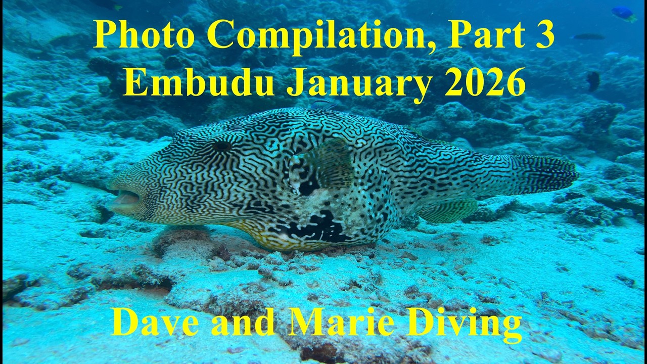 Photo Compilation Part 3 from Embudu Village, Maldives, January 2026
