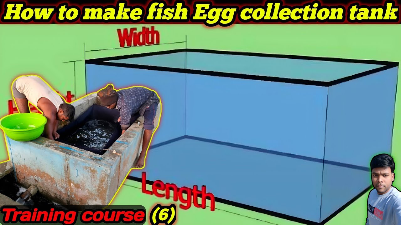 fish egg collection tank measurement / fish tank Kaise banaen /how to set up fish hatchery -(6)