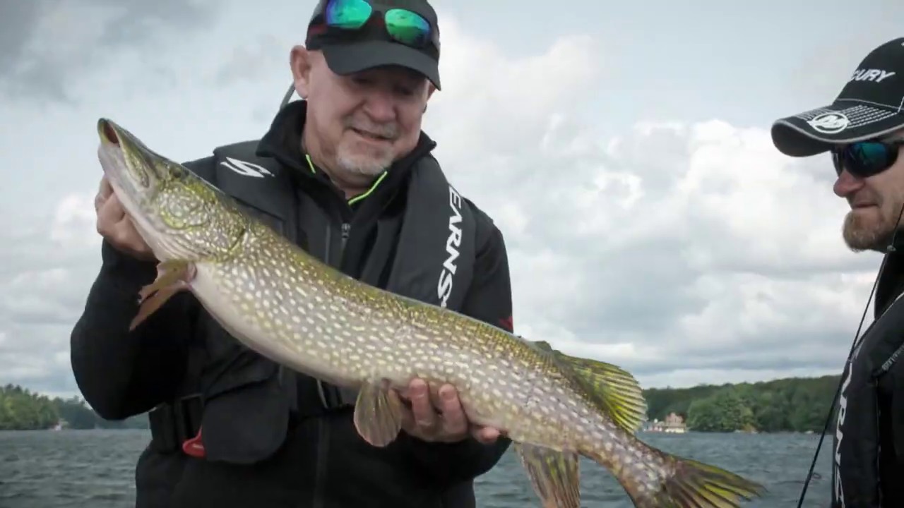 Судак, щука и малоротый окунь на озере Мускока | Fish'n Canada