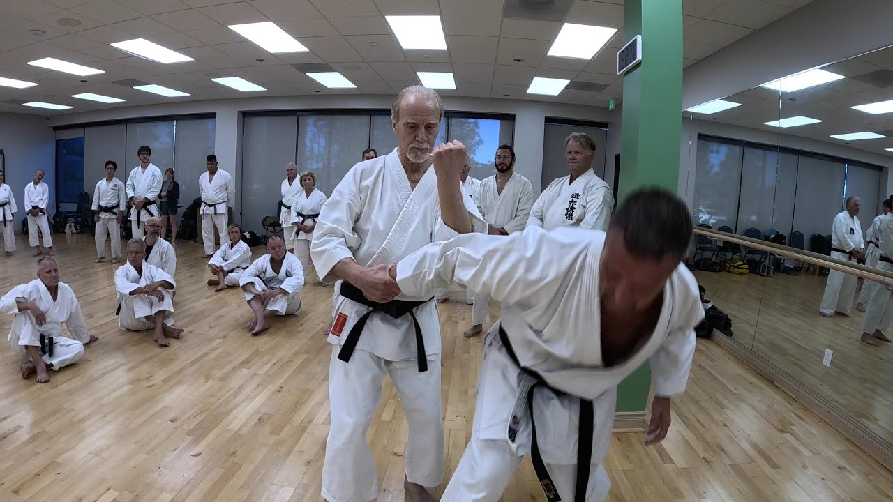 HDKI 2025 San Diego (1/5): Sensei Steve Ubl, Friday Night Session Q&A