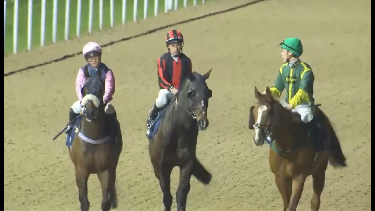 R6 - Wolverhampton 10 Mar 2026